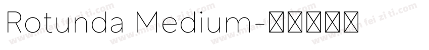 Rotunda Medium字体转换